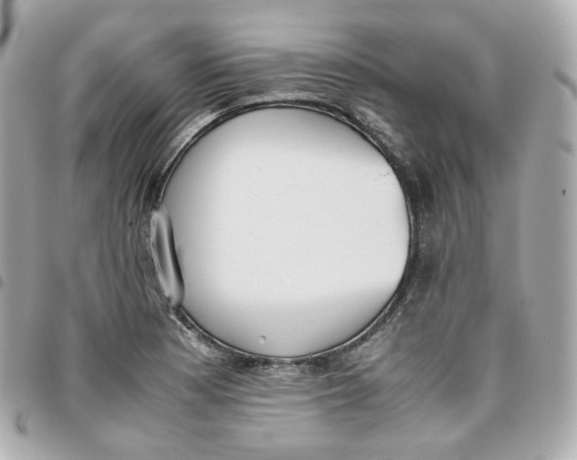 X0000095891177200802011100