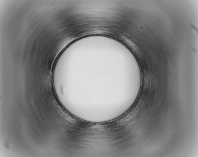 X0000095891178200802011100