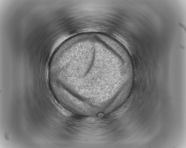 X0000095891179200802011100