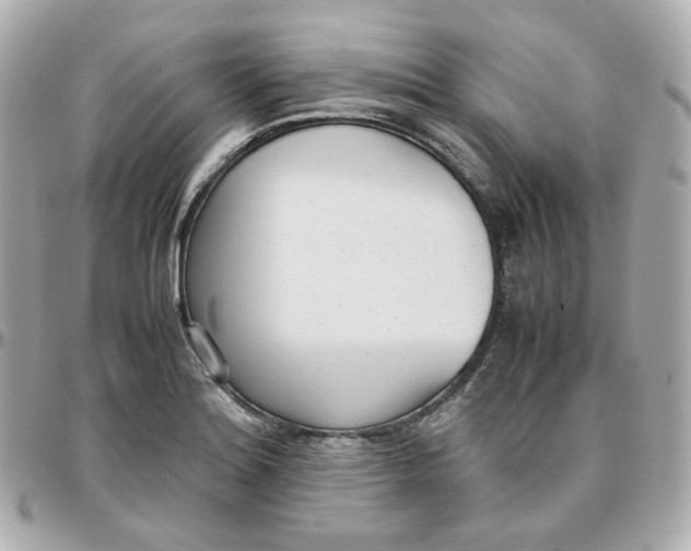 X0000095891180200802011100