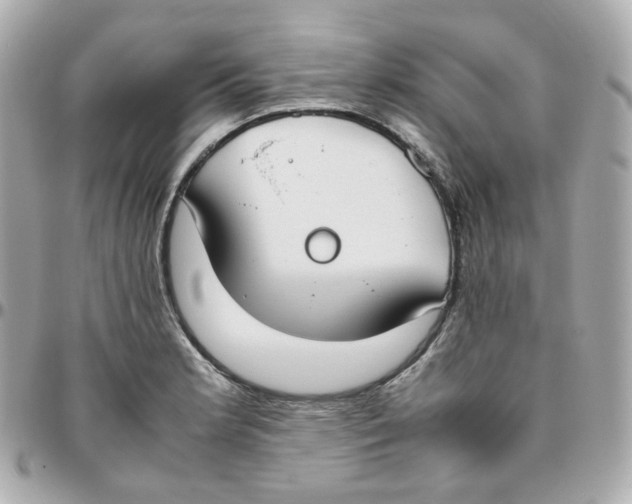 X0000095891181200802011100