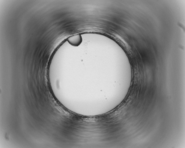 X0000095891182200802011100