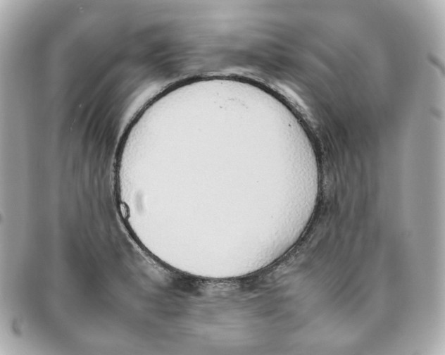 X0000095891183200802011100