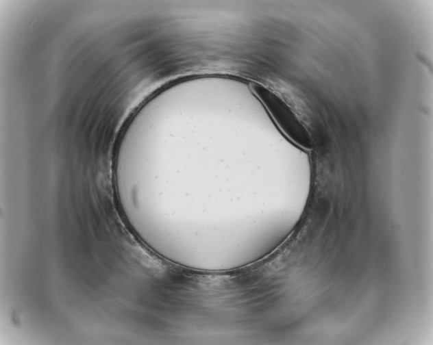 X0000095891184200802011100