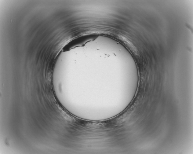 X0000095891185200802011100