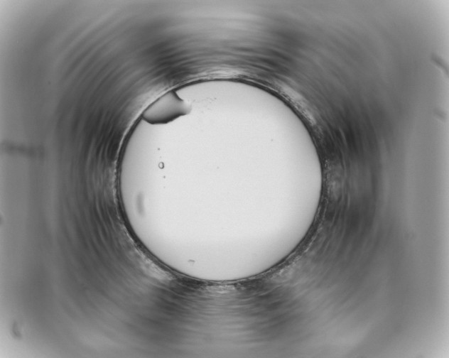 X0000095891186200802011100