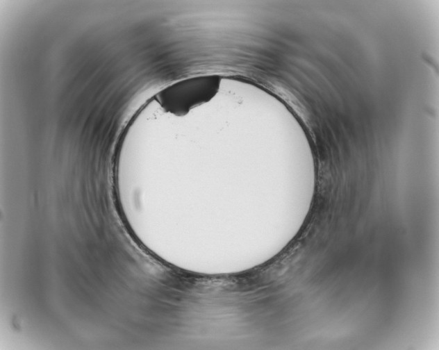 X0000095891187200802011100