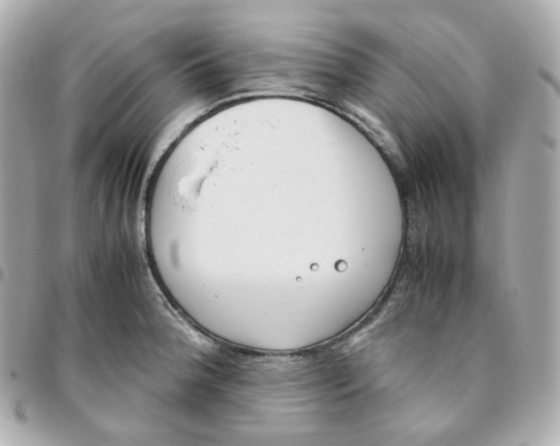 X0000095891188200802011100