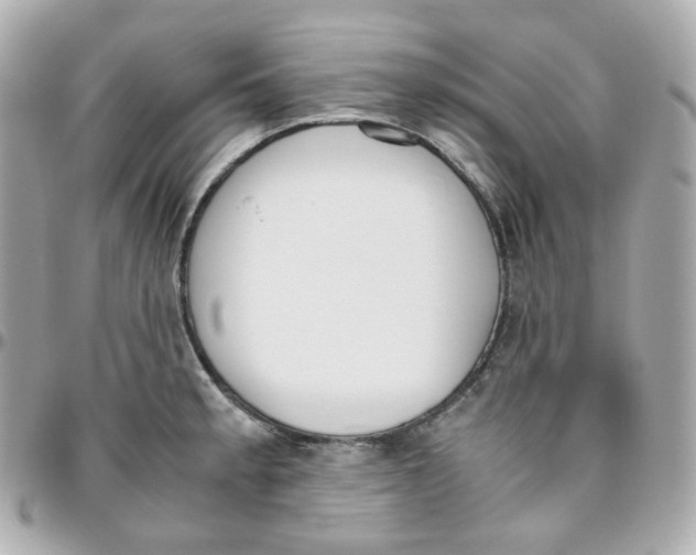 X0000095891189200802011100