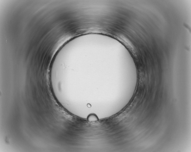 X0000095891190200802011100