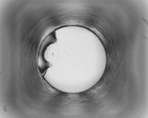 X0000095891191200802011100