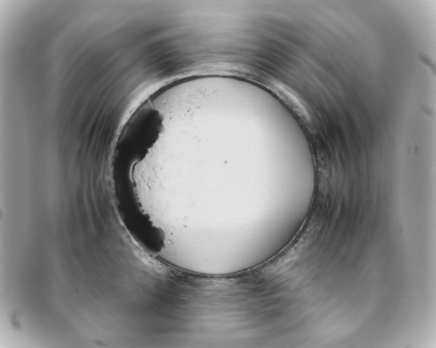 X0000095891192200802011100