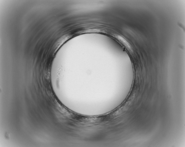 X0000095891193200802011100