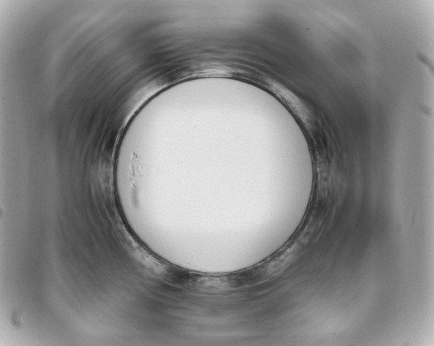 X0000095891194200802011100