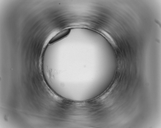 X0000095891196200802011100