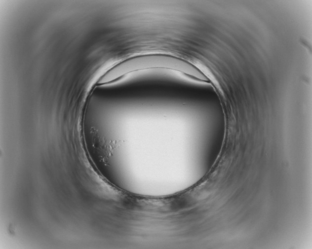 X0000095891197200802011100