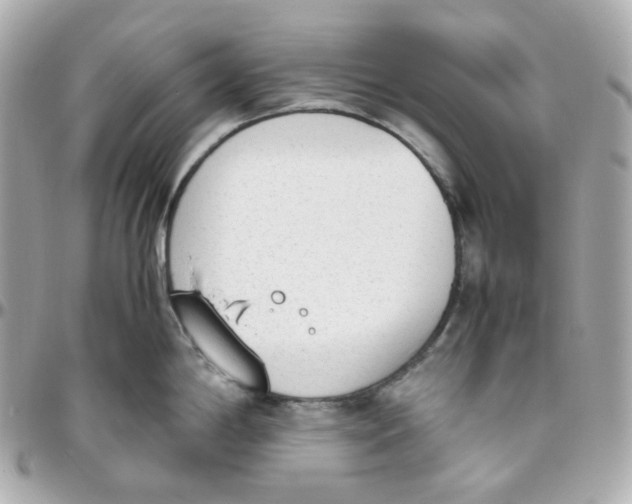 X0000095891198200802011100