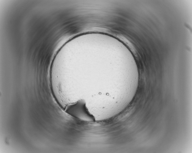 X0000095891199200802011100