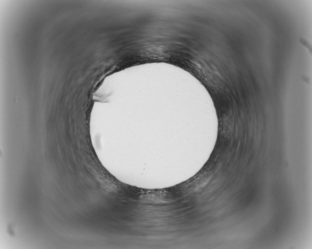 X0000095891201200802011059