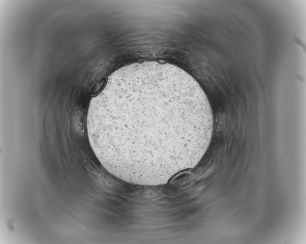 X0000095891202200802011059