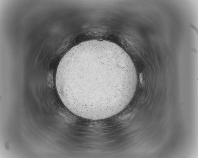 X0000095891203200802011059