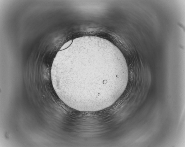 X0000095891204200802011059