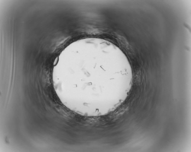 X0000095891205200802011059