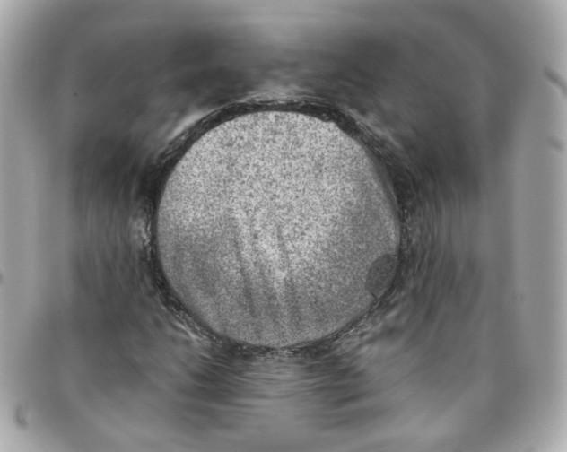 X0000095891206200802011059