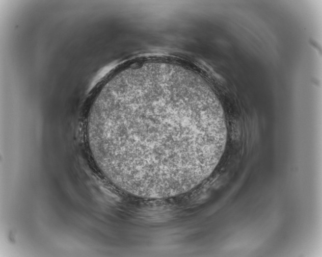 X0000095891208200802011059