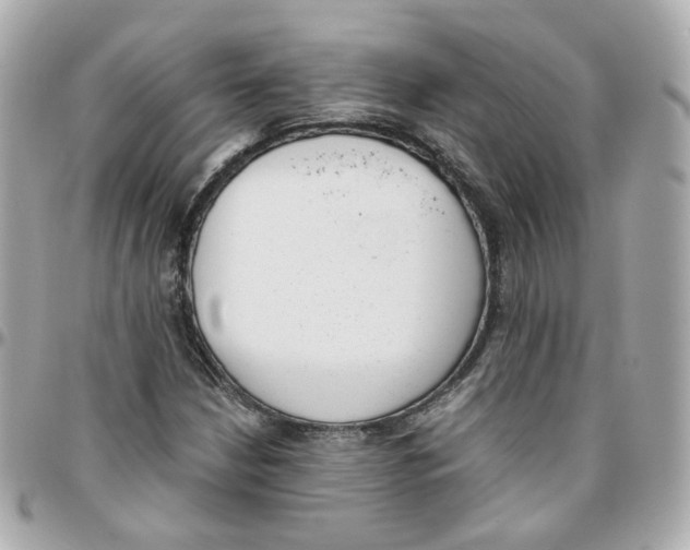 X0000095891210200802011059