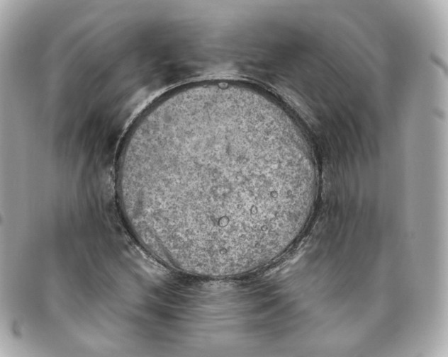 X0000095891212200802011059