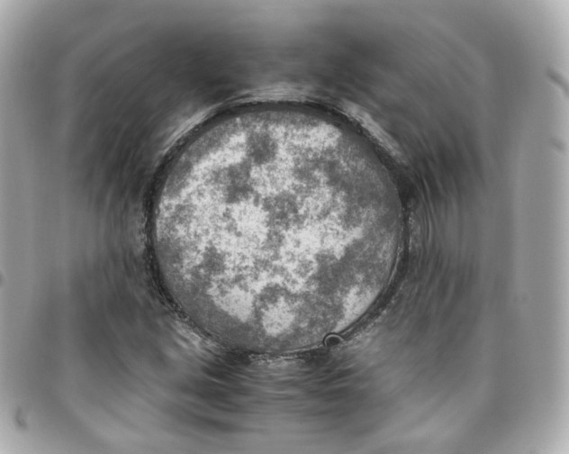 X0000095891213200802011059