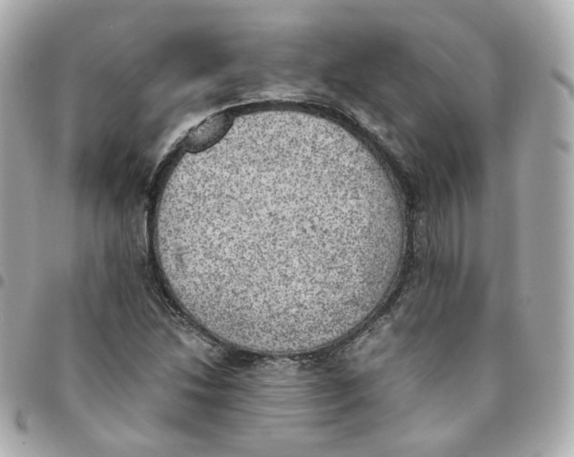 X0000095891214200802011059