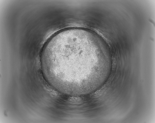 X0000095891215200802011059