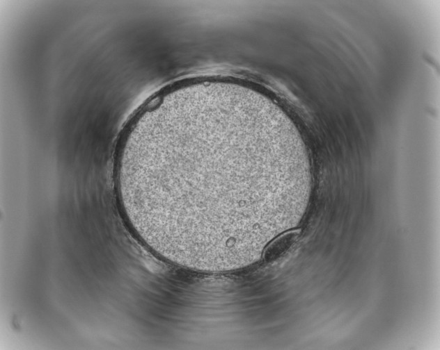 X0000095891216200802011059