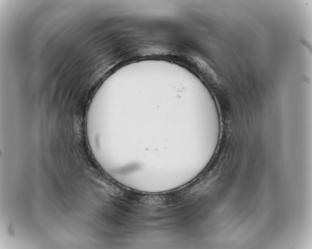 X0000095891217200802011059