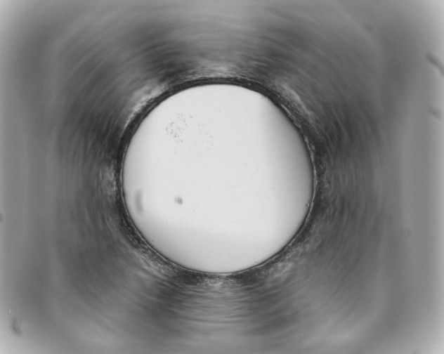 X0000095891218200802011059