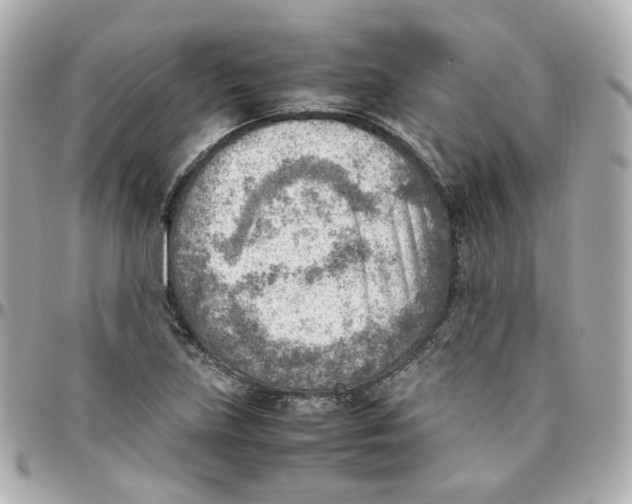 X0000095891219200802011059