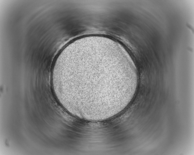 X0000095891220200802011059