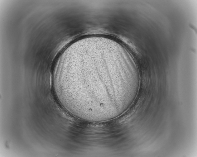 X0000095891221200802011059