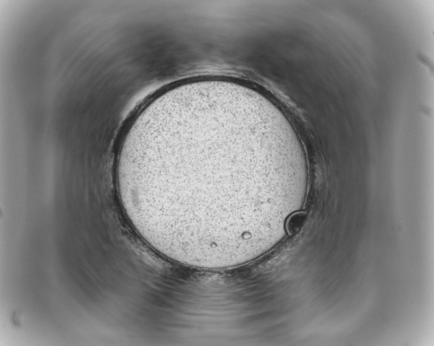 X0000095891222200802011059