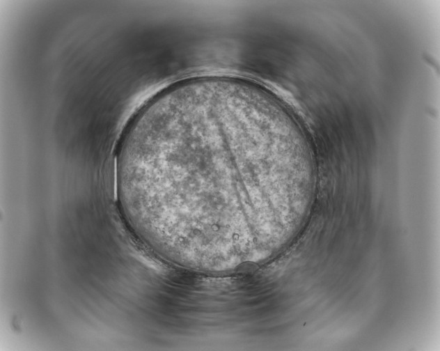 X0000095891223200802011059