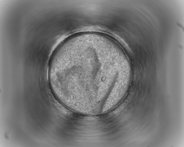 X0000095891224200802011059