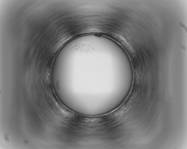 X0000095891225200802011059