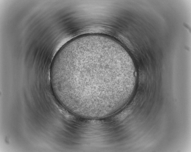 X0000095891226200802011059