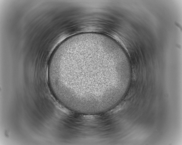 X0000095891227200802011059