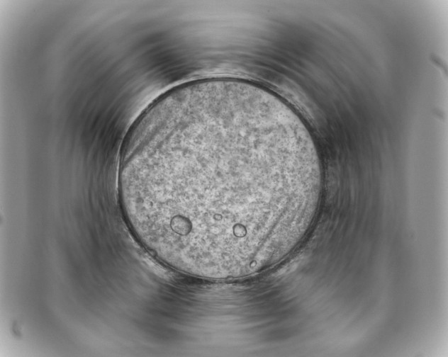 X0000095891228200802011059