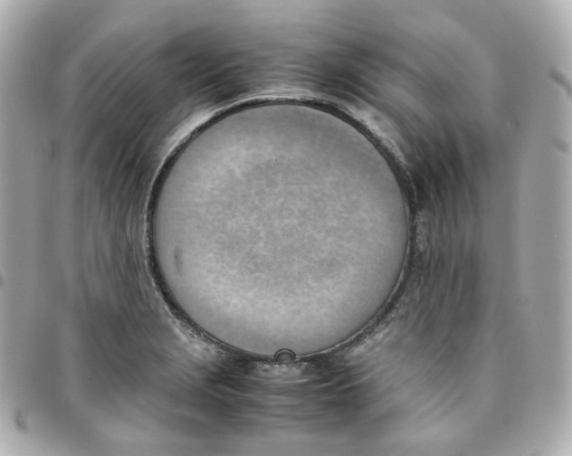 X0000095891229200802011059