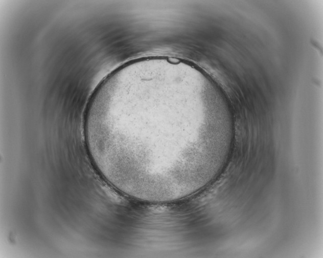 X0000095891230200802011059