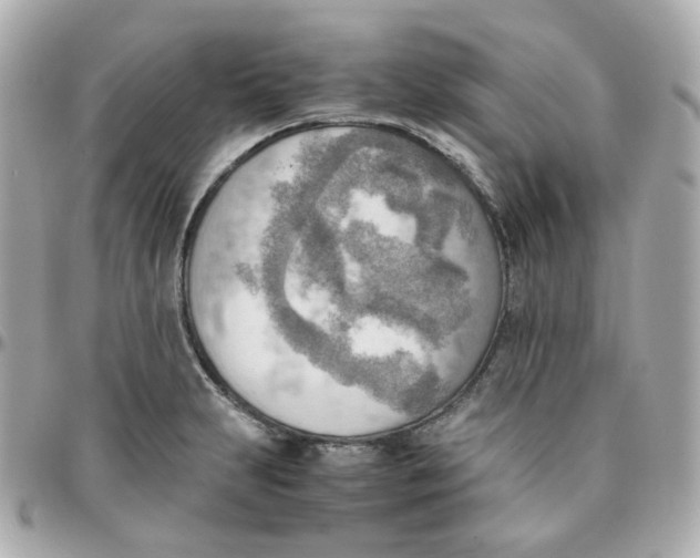 X0000095891231200802011059